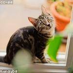 Ryley Doyle Profile Picture