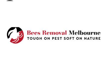 Bees Removal Melbourne Profile Picture