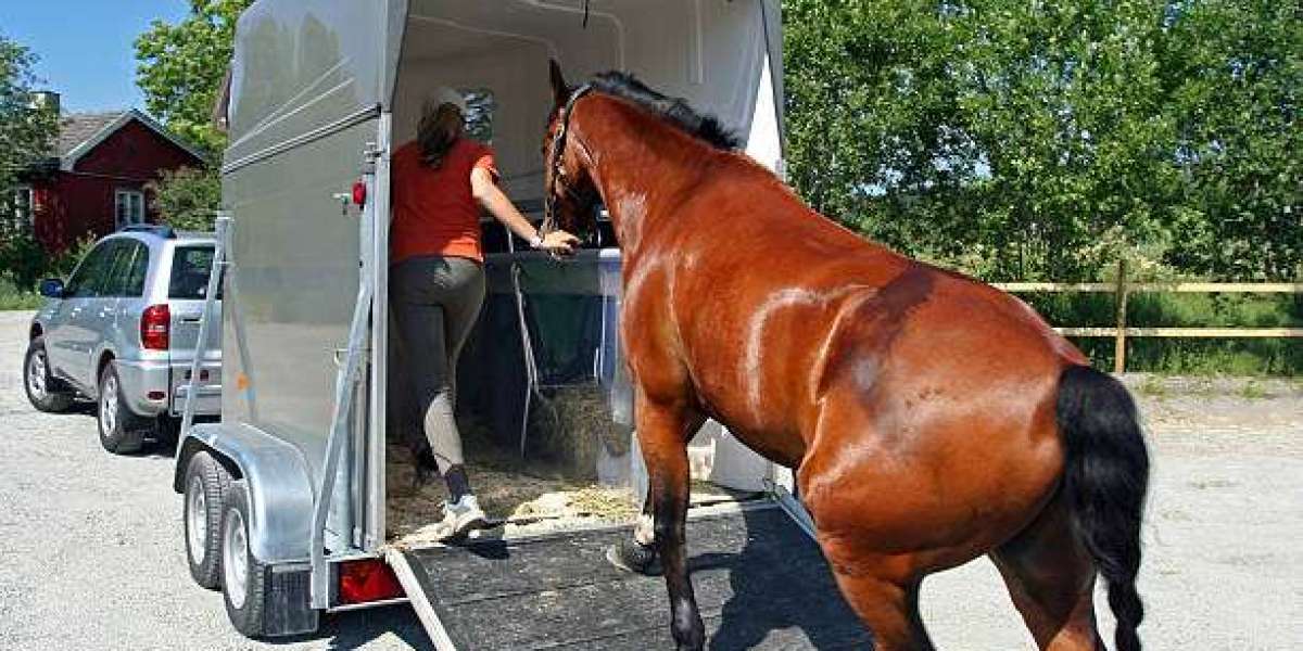 Guide To Nationwide Horse Transportation Services In California