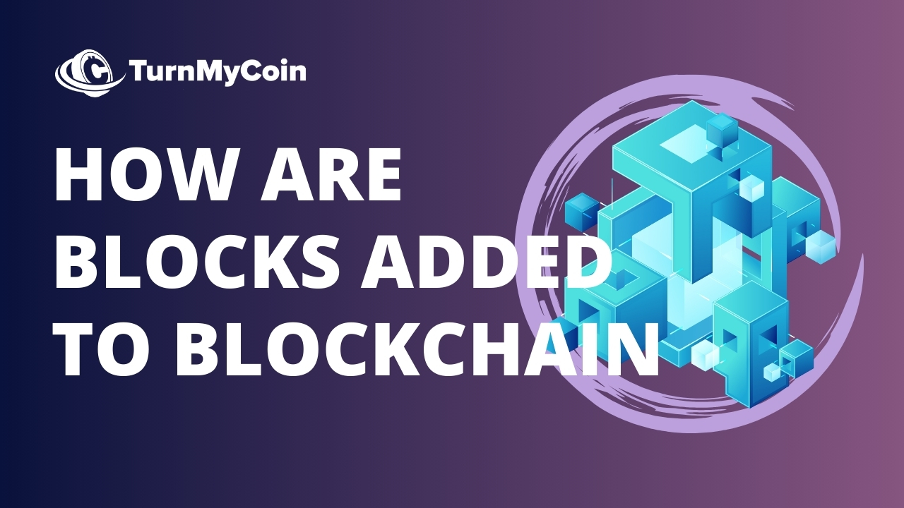 Super Easy Guide - How are blocks added to the Blockchain? - TurnMyCoin: Crypto assets trading Worldwide - A beginner's guide