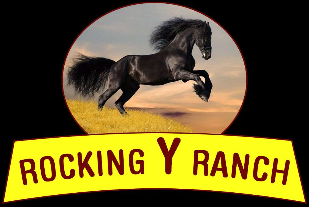 RockingY Ranch Profile Picture
