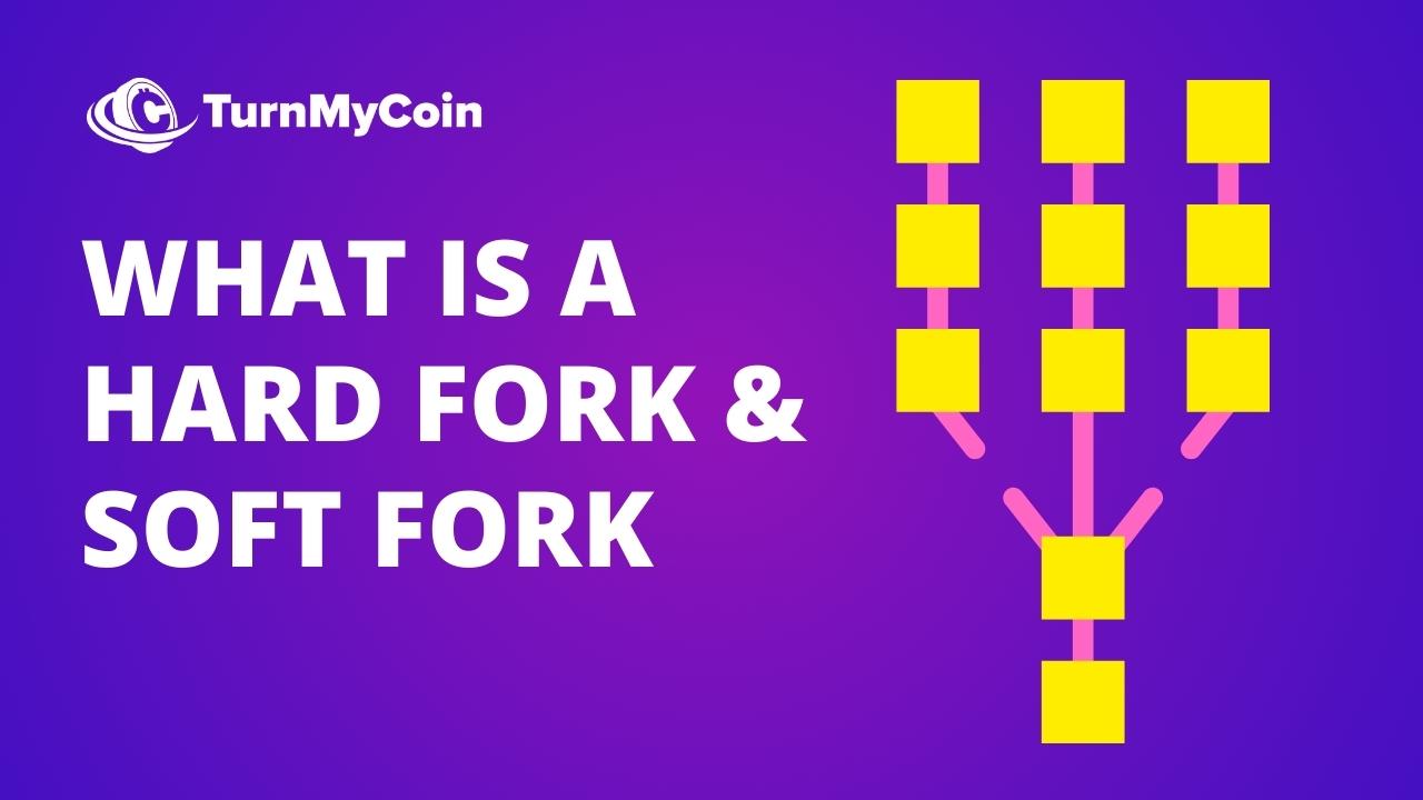 You Need To know Complete Hard Fork & Soft Fork In 2024? - TurnMyCoin: Crypto assets trading Worldwide - A beginner's guide