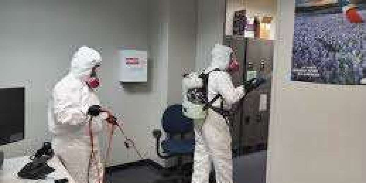 Ultimate Guide to Biohazard Cleanup and Damage Restoration
