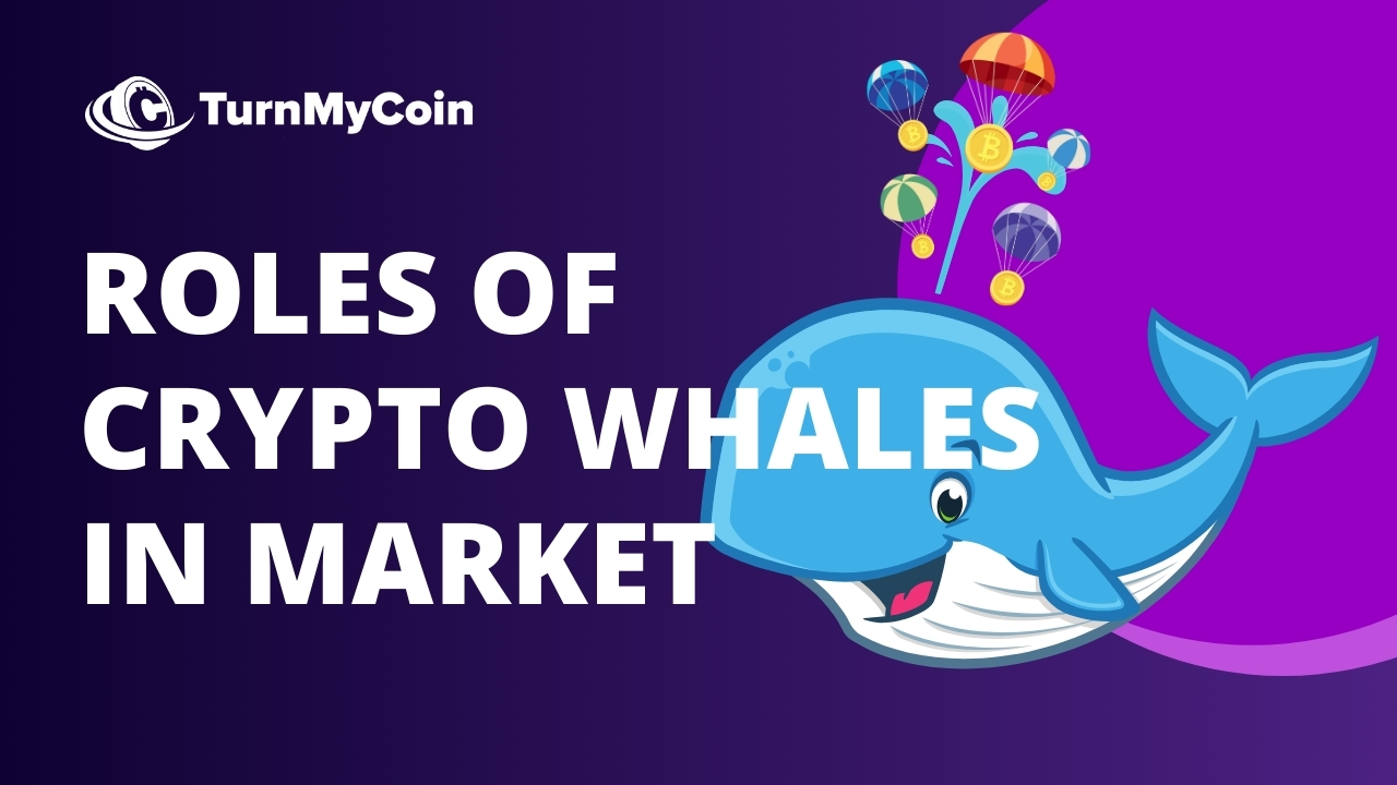 5 Interesting Roles That Cryptocurrency Whales Play In The Market