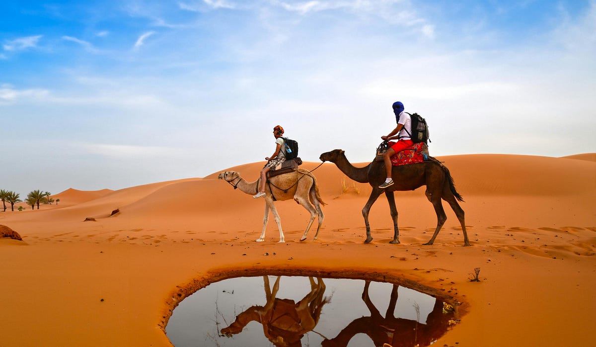 Explore the Thar Desert: Camel Safari Included in Rajasthan Tour and Travel Packages