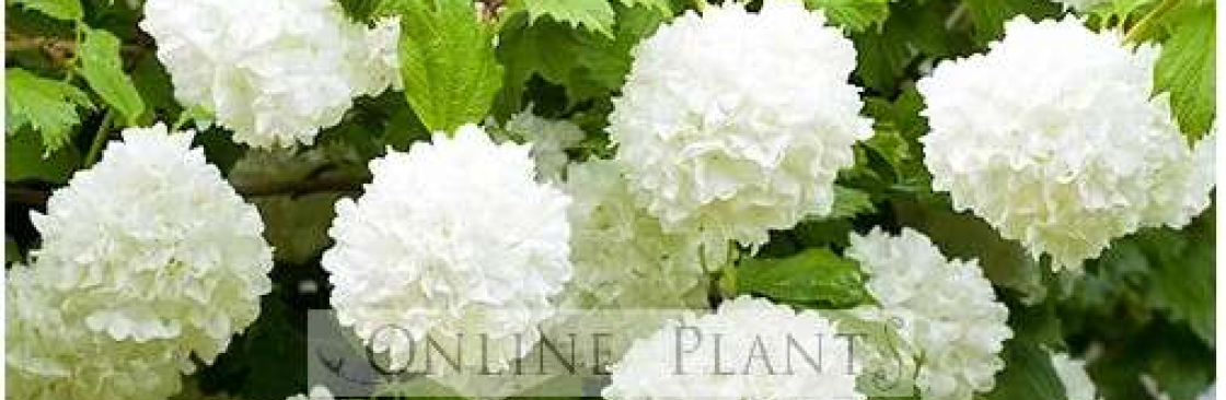 Online Plants Cover Image