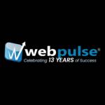 Webpulse Solution Pvt Ltd Profile Picture
