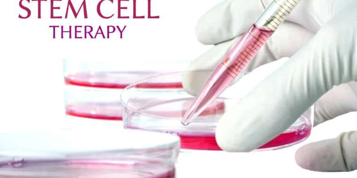 Revolutionizing Spinal Cord Injury Recovery with Stem Cells