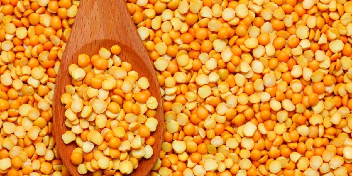 Pea Protein Ingredients Market Expected to Grow to US$ 7.0 Billion by 2031 at 19.9% CAGR