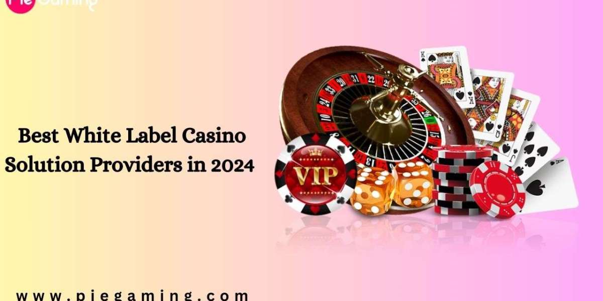 Best White Label Casino Solution Providers in 2024