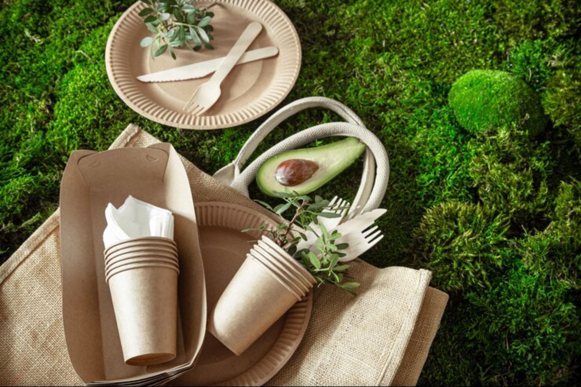 Sustainable Packaging Efforts In Asia Take Backseat; Innovation Offers Paths Forward | Saraf Furniture Reviews