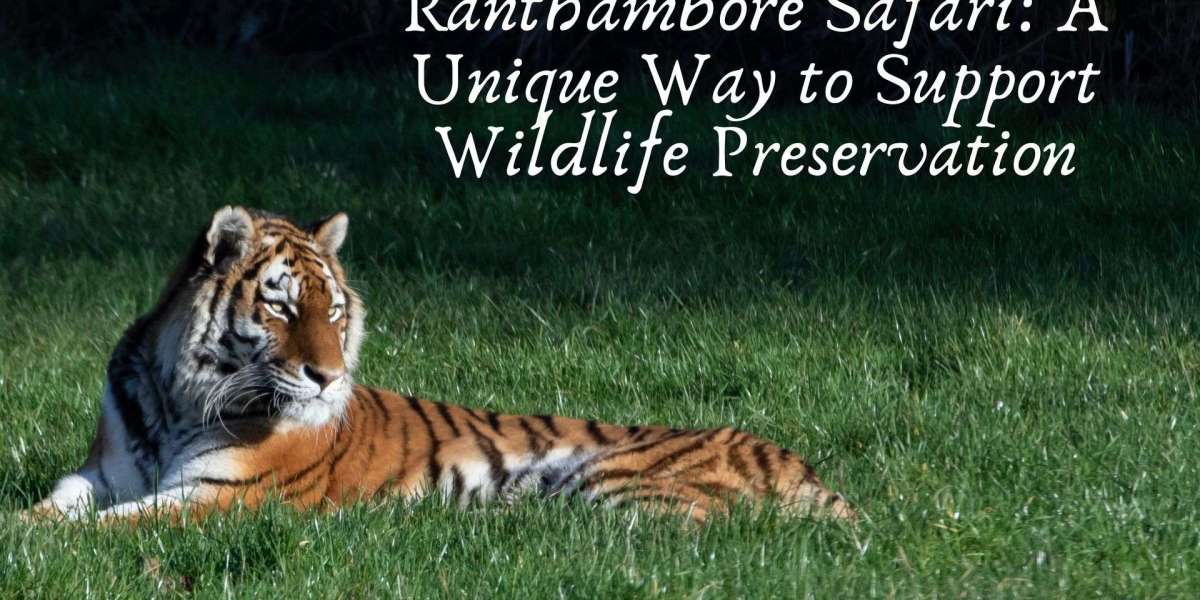 Ranthambore Safari: A Unique Way to Support Wildlife Preservation