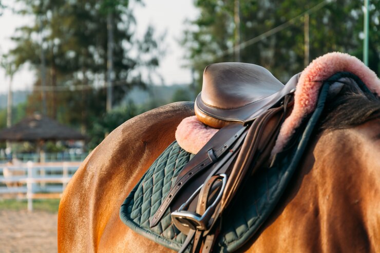 4 Suggested Ways to Save on Horse Saddles | The Suggested