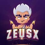 ZeusX Pte Ltd profile picture