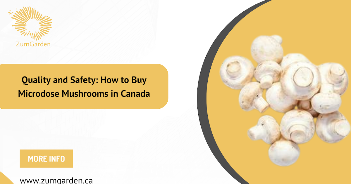 Quality and Safety: How to Buy Microdose Mushrooms in Canada