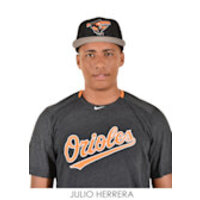 Julio Herrera  Minor Leagues Statistics | Baseball-Reference.com