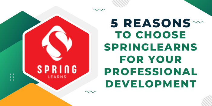 5 Reasons to Choose Springlearns for Your Professional Development | by SpringLearns | Nov, 2024 | Medium