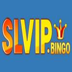 Slvip Bingo Profile Picture