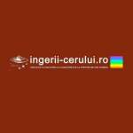 ingerii cerului Profile Picture