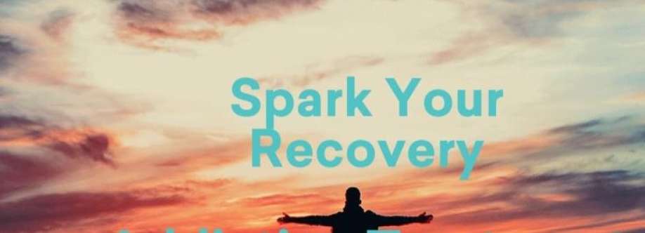 Spark Recovery Cover Image