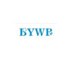 BYWB Bearing Profile Picture