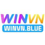 winvnpunchnelscom Profile Picture