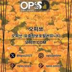 신도림오피 출장마사지안내COM 신도림OP Profile Picture