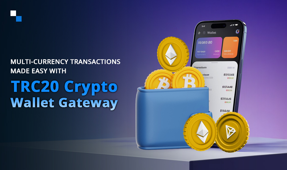 How TRC20 Crypto Wallet Payment Gateway Supports Multi-Currency Transactions with Ease