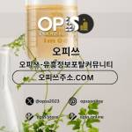 강남건마 오피사이트NET 강남마사지 Profile Picture