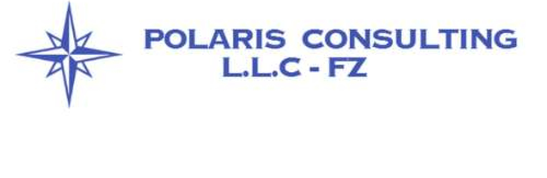 Polaris Consulting Cover Image