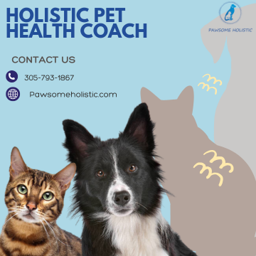 Holistic Pet Health Coach (1) — Postimages