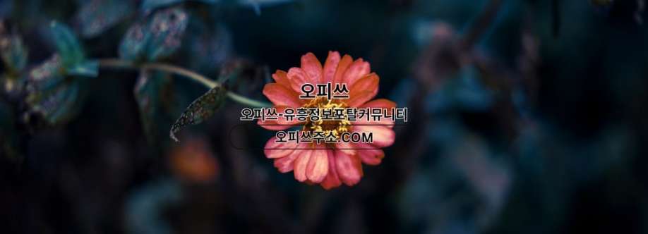 강서출장샵 오피CLUB 강서출장마사지 Cover Image