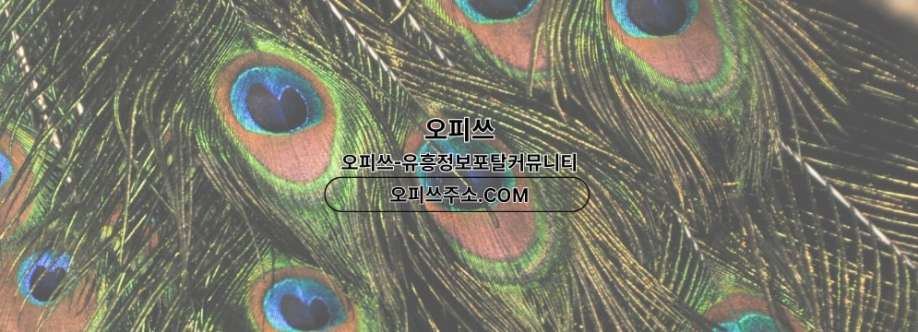 동탄출장샵 오피쓰COM 동탄출장마사지 Cover Image