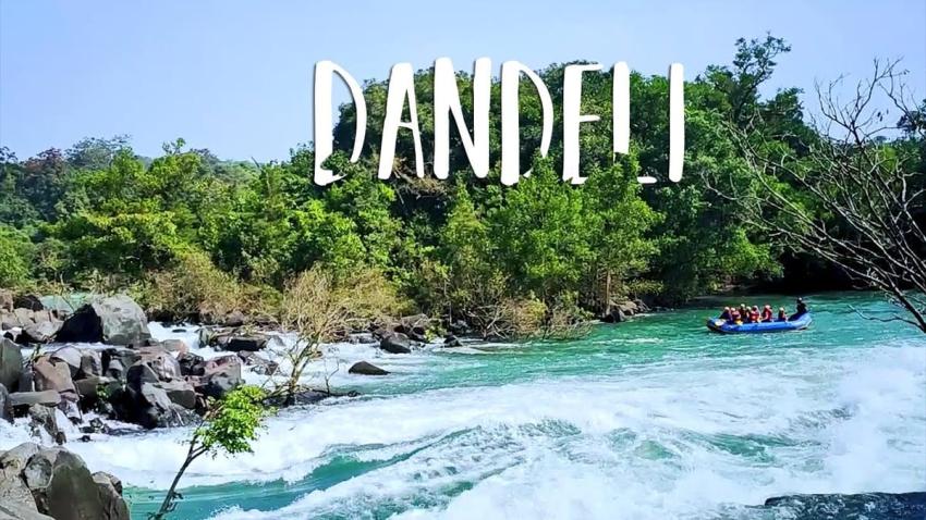 What Activities Are There To Do In Dandeli? [A Complete Guide] - Ani Articles