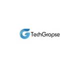 Techgropse Usa Profile Picture