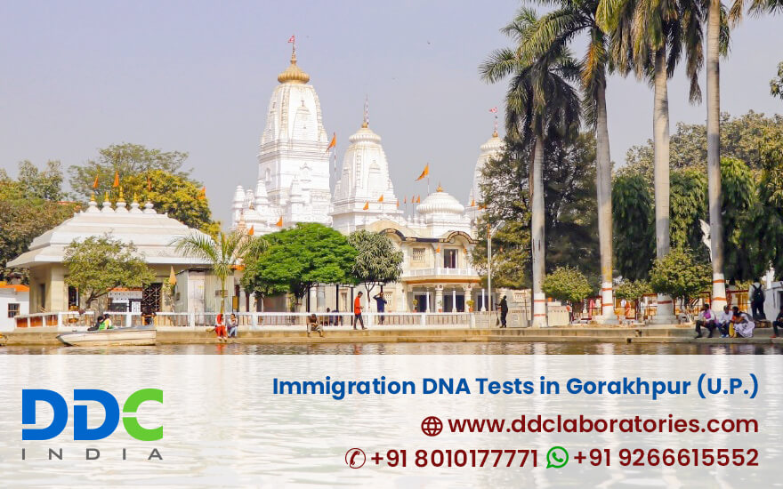 Immigration DNA Tests in Gorakhpur - DDC Laboratories India