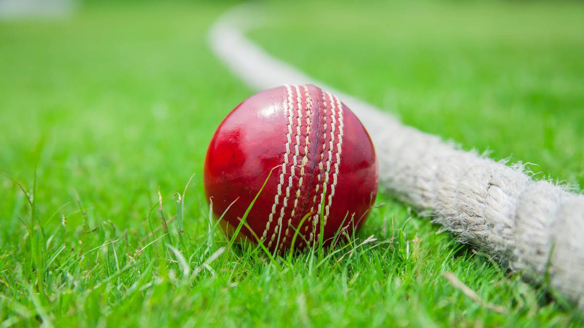 Balancing Your Fantasy Cricket Team: Stars vs. Budget Players - slashcasino.news