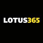 Lotus 365 profile picture