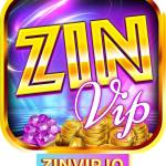 ZINVIP IO Profile Picture