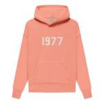 Essentials Hoodie Pink profile picture