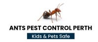 Ant Pest Control Perth – Medium