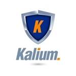 Kalium Solutions Profile Picture