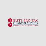 Elite Pro-Tax & Financial Services Profile Picture