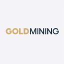 GLDG Stock Overview: Comprehensive Insights | Stocks.News