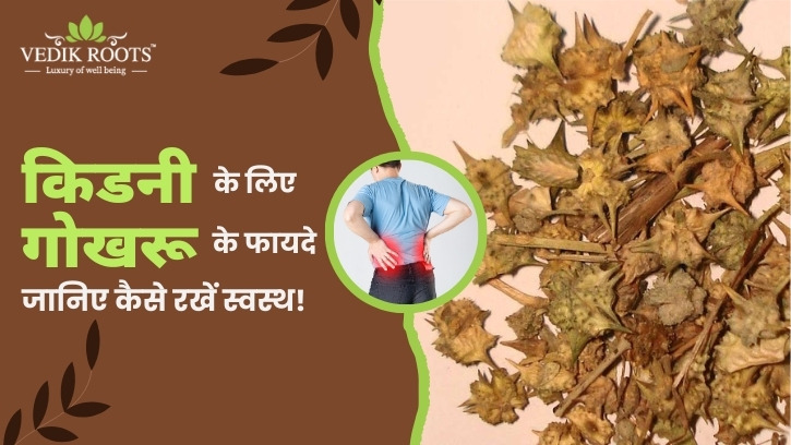 किडनी के लिए गोखरू के फायदे: जानिए कैसे रखें स्वस्थ! – @vedikrootsall on Tumblr