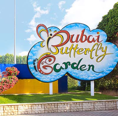 Dubai Butterfly Garden Tickets | Book Online Now