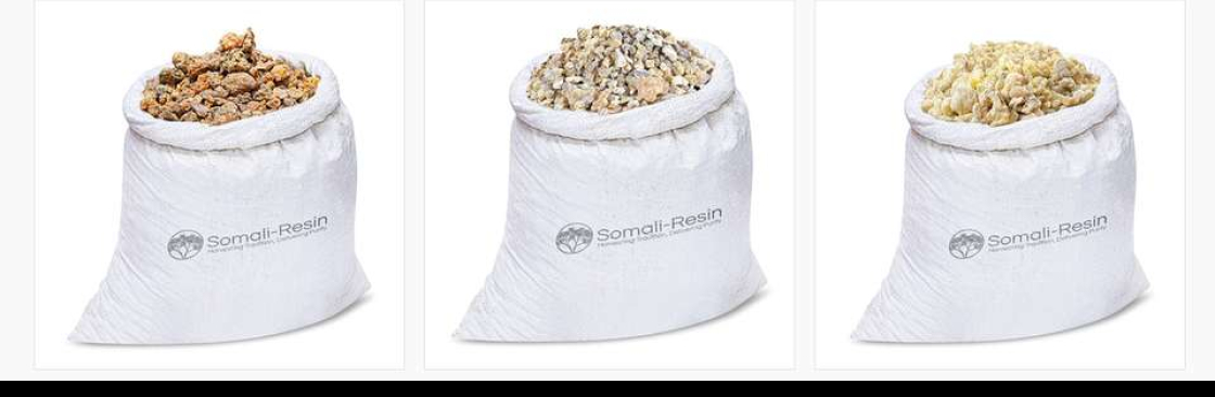 Somali Resin Cover Image
