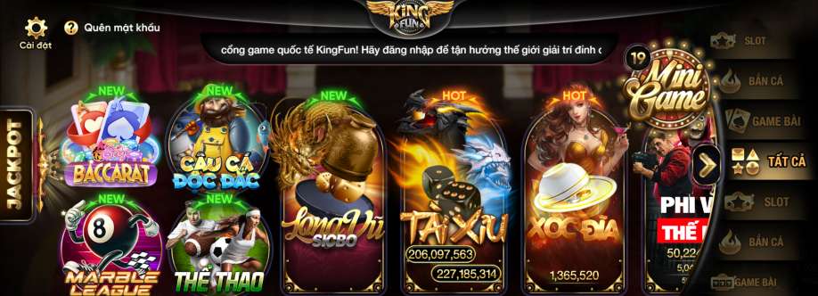 kingfun pro Cover Image
