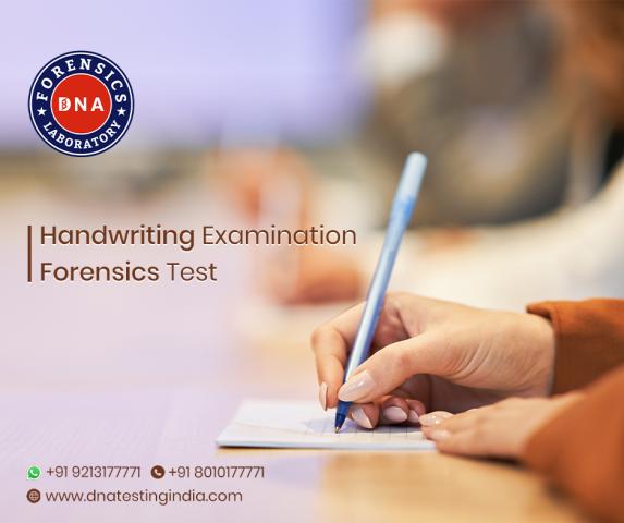 PromoteProject - Understanding Handwriting Examination: A Scientific Approach to Identity Verification