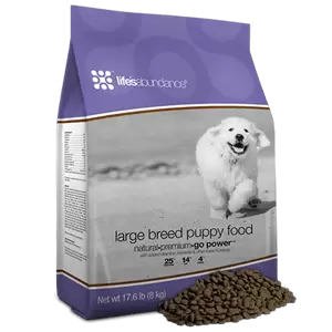 Why Healthy Food For Pets Is A Game Changer For Your Furry Friend